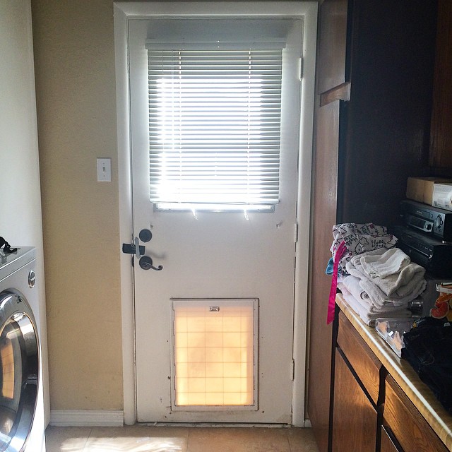 Goodbye, ugly old laundry room door! First #homeremodeling project is underway... Installer should be here any time. You won't be missed! Can't wait to post the after pic later today!  #remodeling #homeremodel #renovation #laundryroom #newdoor #homeimprovement
