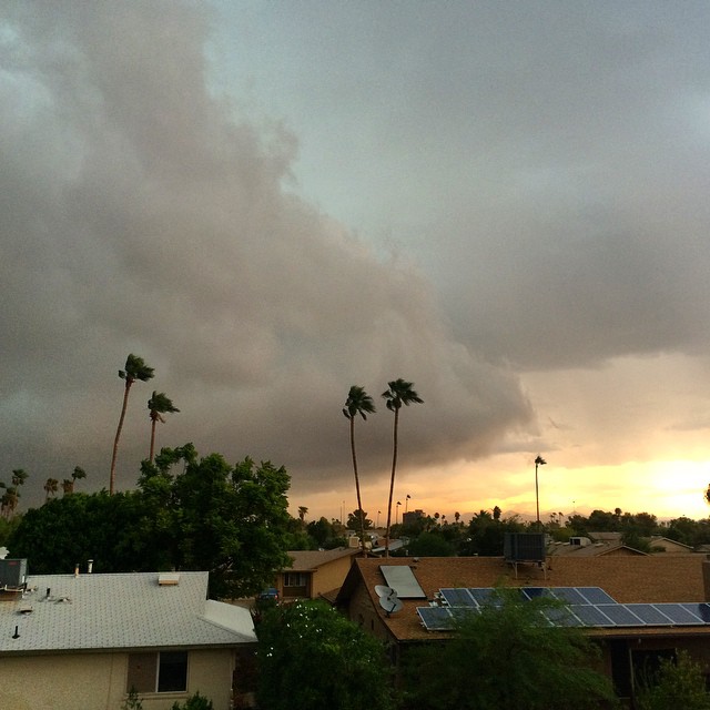 And then day turned into night  #azstorm #monsoon #arizonarain #tempe #arizona